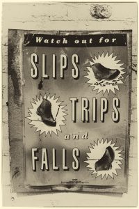 Snapshots from the poetry collection Going Off Grid